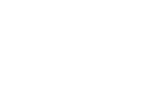LOGO-IH_BRANCA